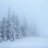 backboarder