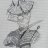 EliRoute6