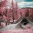 roverlane9