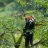 anik23