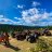 JackStand