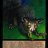 graveyard_8