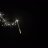 flashcut5